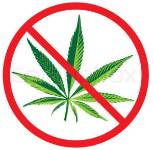 not marijuana