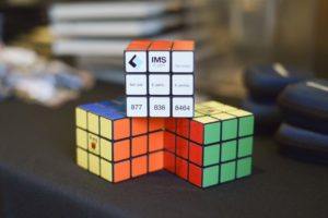 IMS Rubix cube